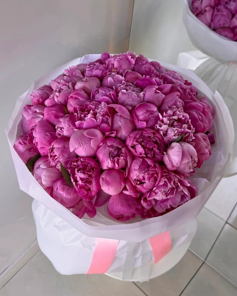 Peony Bloom XL