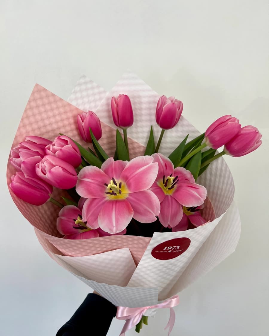 Pink Tulips