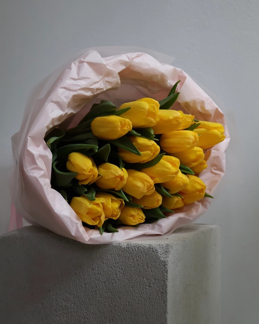 Yellow Tulips