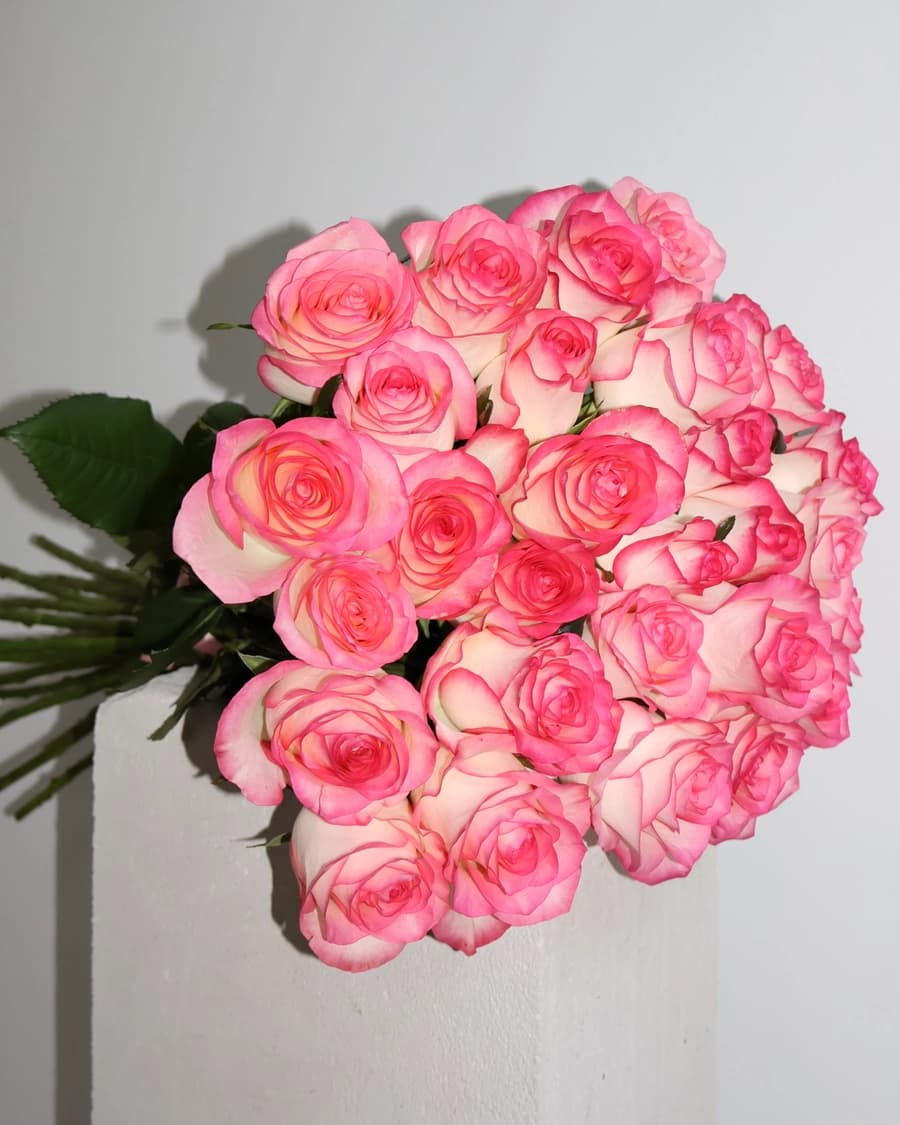 Jumelia Bouquett