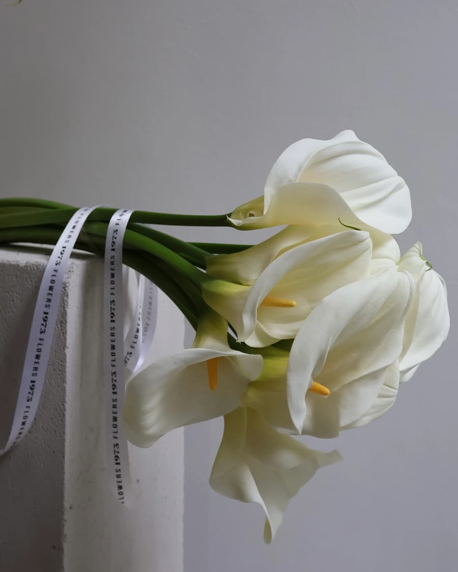 Calla Lily