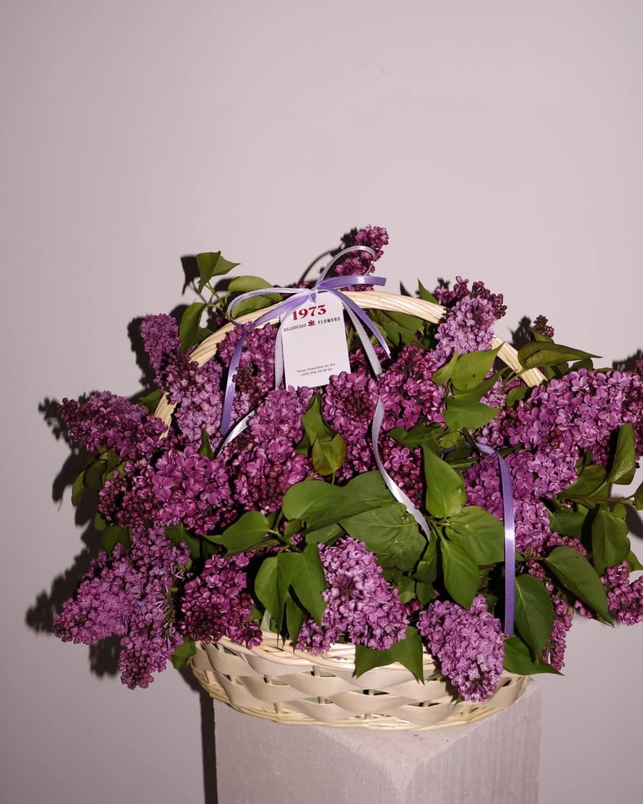 Lilac In Basket