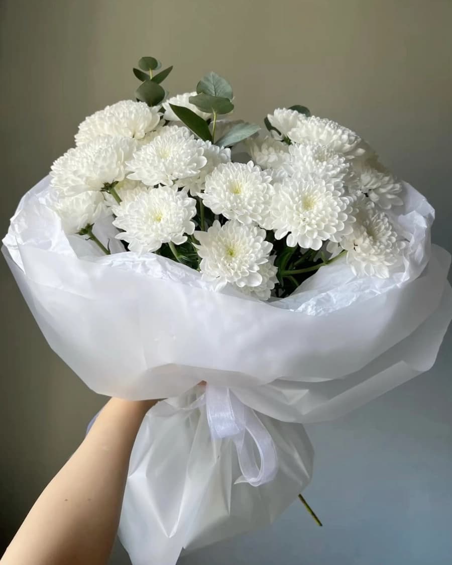 White Chrysanthemum
